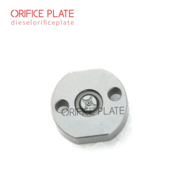 095000-8010 Injector Orifice Plate 31#